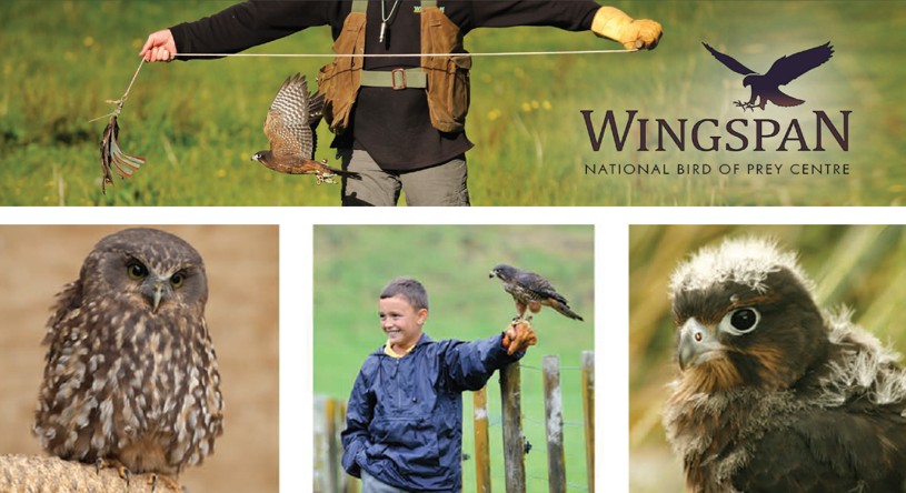 Wingspan National Bird of Prey Centre